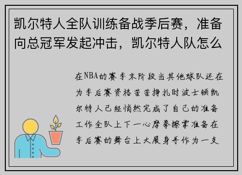 凯尔特人全队训练备战季后赛，准备向总冠军发起冲击，凯尔特人队怎么样