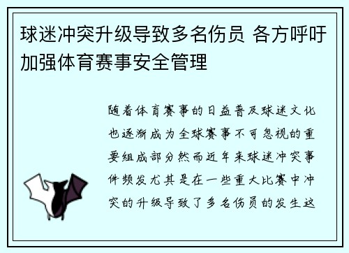球迷冲突升级导致多名伤员 各方呼吁加强体育赛事安全管理